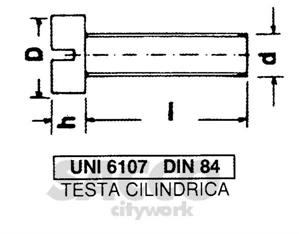 Immagine di 5X30 TC INOX A2 7687 VITE ** .  01324822