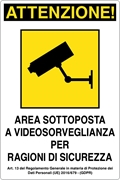 Immagine di SEGNALE INFORMAZIONE MM 200X300 AREA VIDEOSORVEGLIATA ALLUM. 03069882